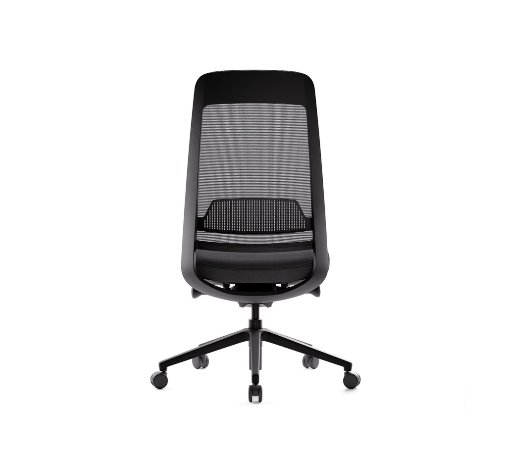 SitLab Frankie ergonomic office chair — Standard (No Armrests), rear view of the mesh backrest