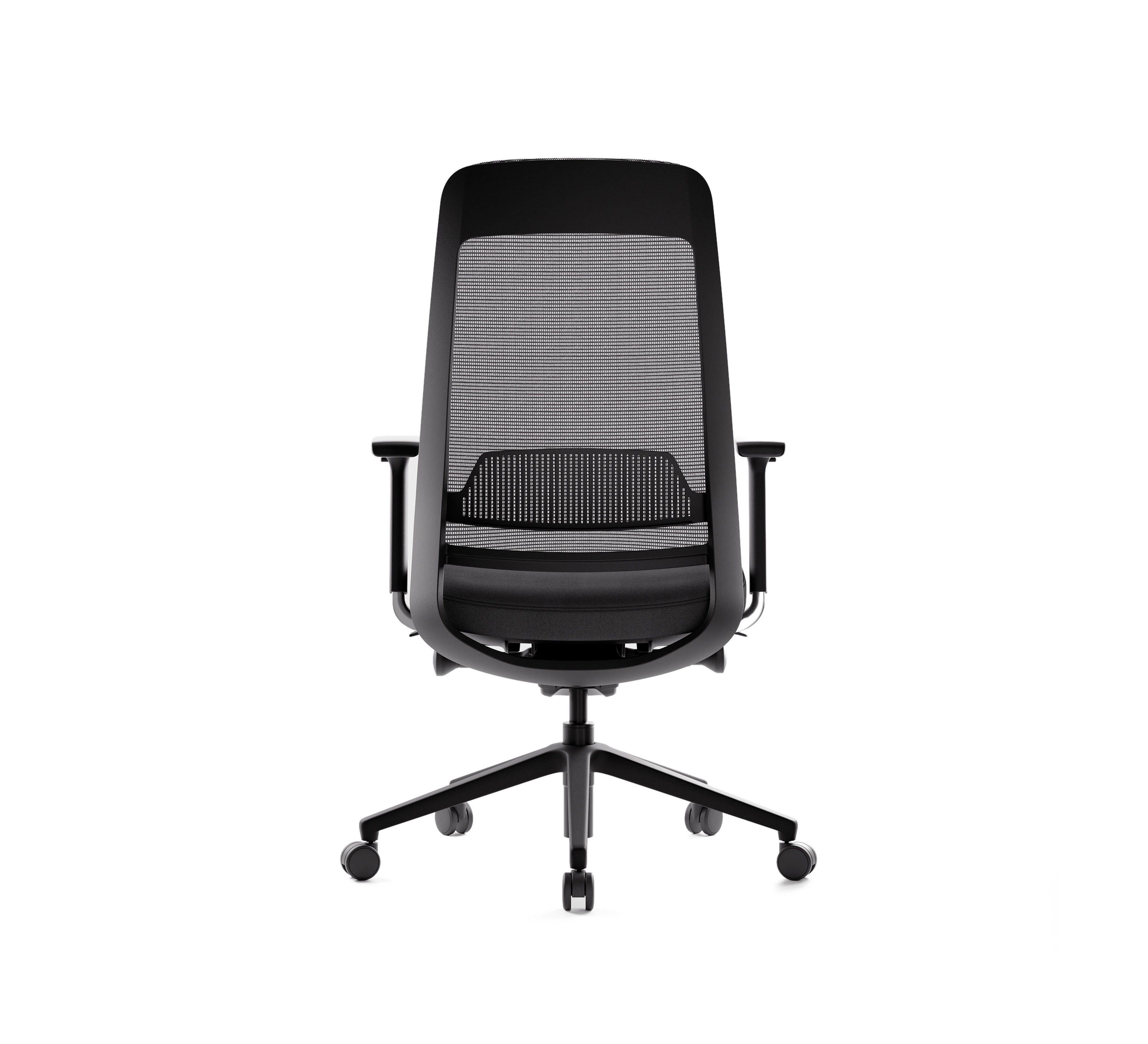 SitLab Frankie ergonomic office chair — 4D Armrests, rear view of the mesh backrest and lumbar support