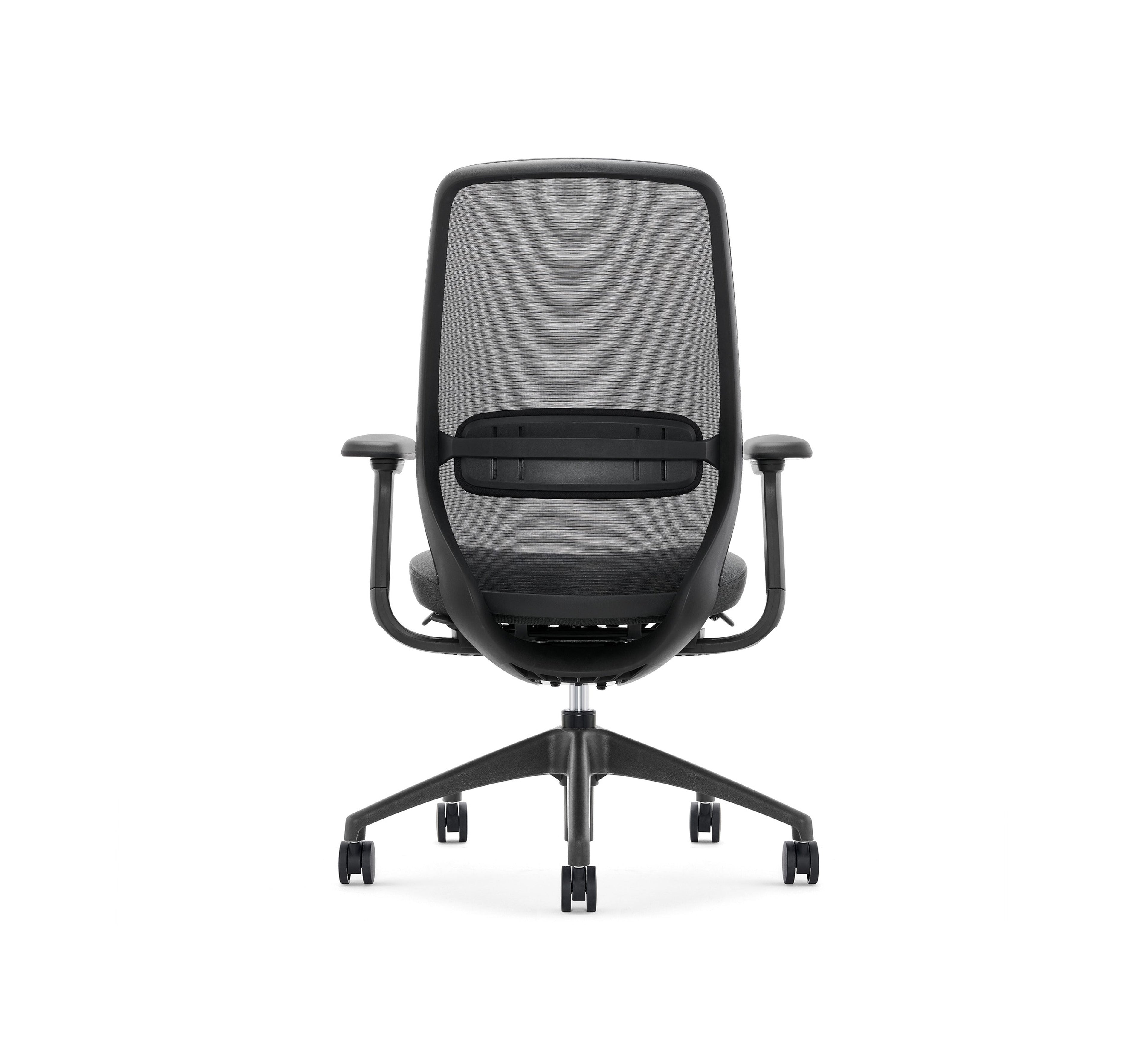 SitLab Harwood Premium task chair, rear view of the mesh backrest and lumbar support bar