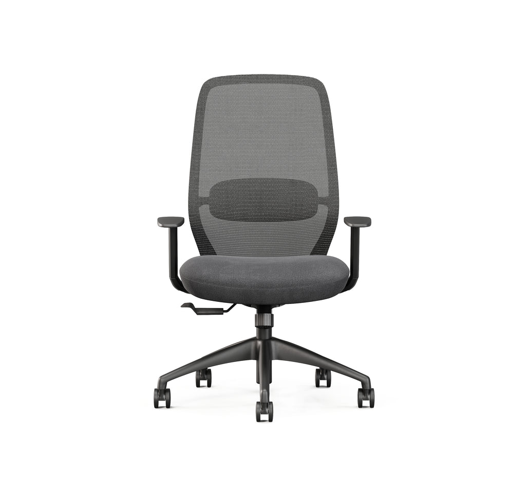 SitLab Harwood task chair, backrest and lumbar support