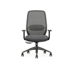SitLab Harwood task chair, backrest and lumbar support