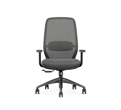 SitLab Harwood task chair, backrest and lumbar support